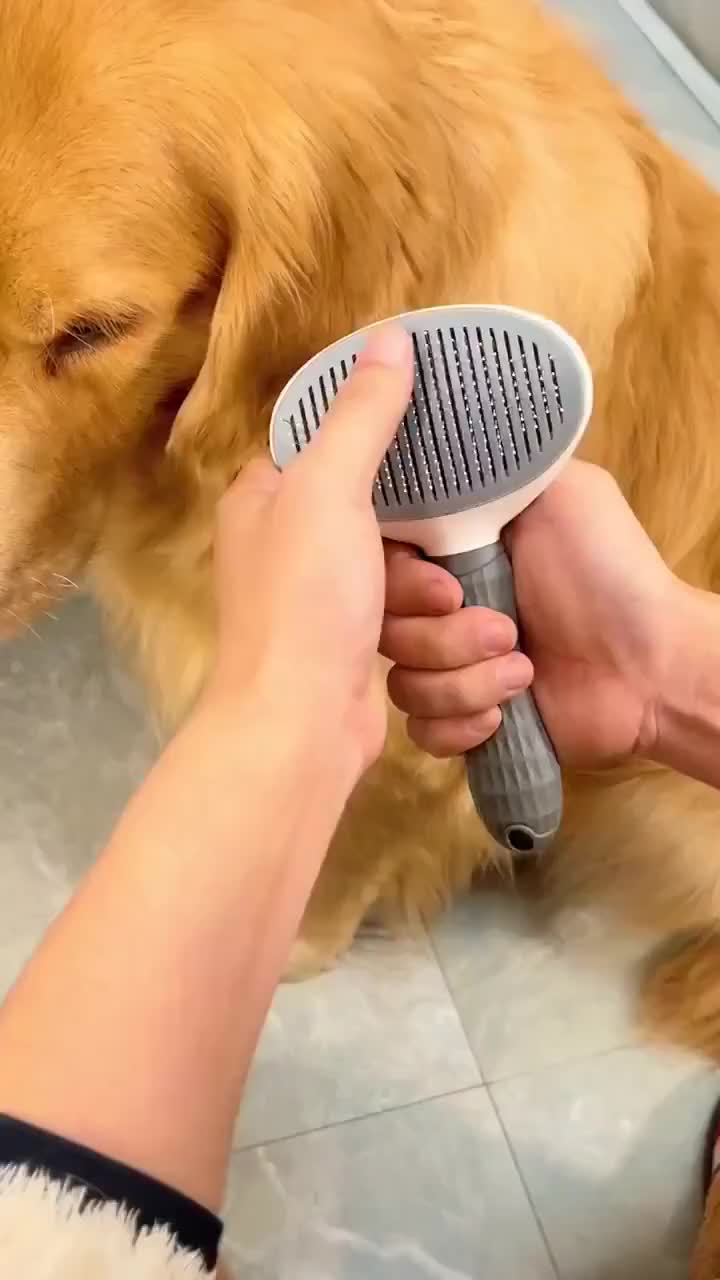 Pet Massage Brush Stainless Steel Tool with Silicone Lining for Pets Long or Short Hair Pink Gray Blue Handles Ideal for Grooming