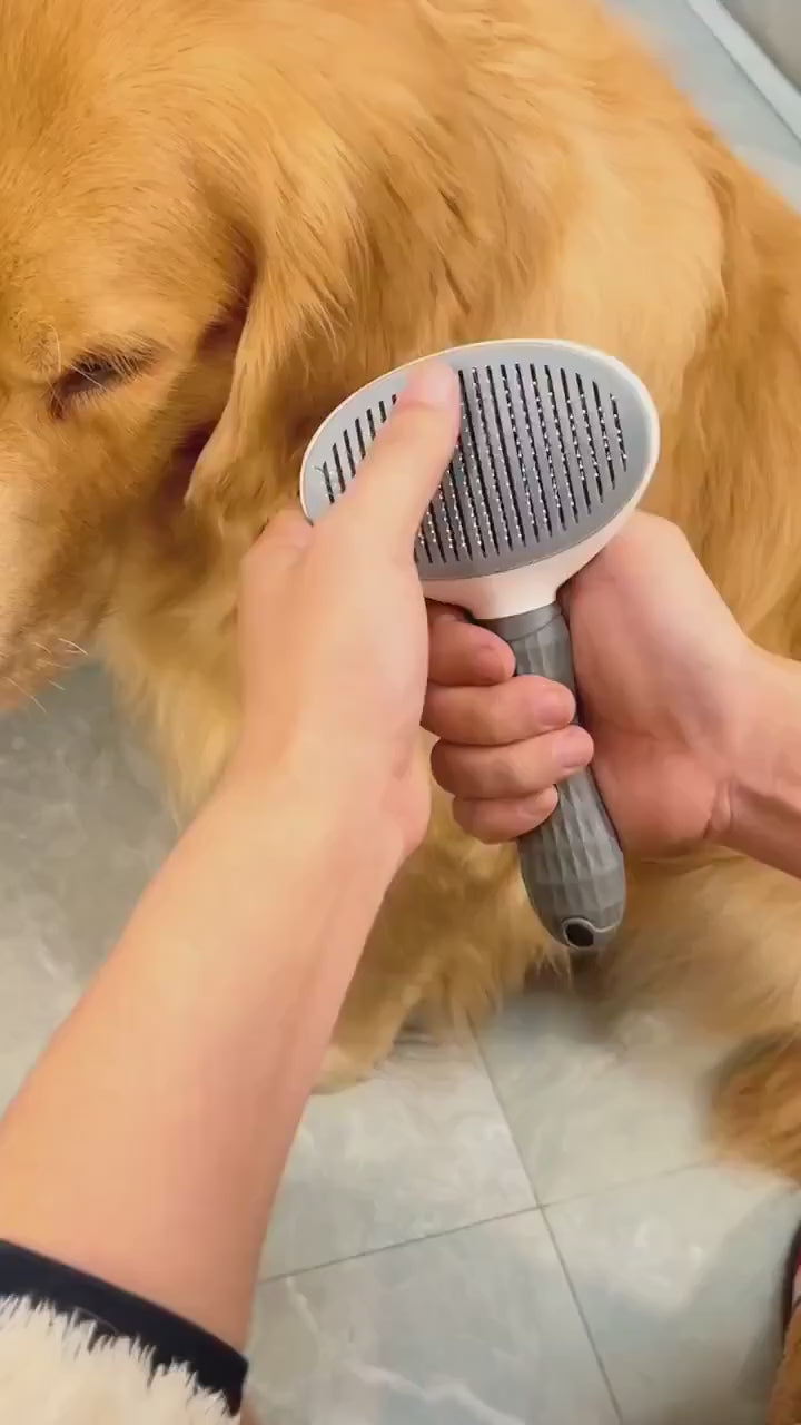 Pet Massage Brush Stainless Steel Tool with Silicone Lining for Pets Long or Short Hair Pink Gray Blue Handles Ideal for Grooming